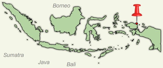 Klimatabelle Manokwari Klimatabelle Manokwari