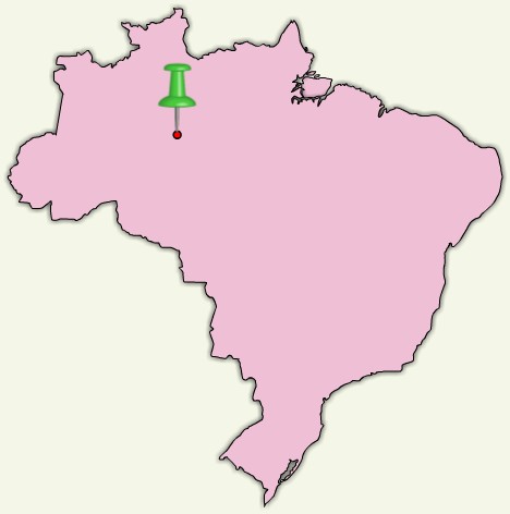Klimatabelle Manaus